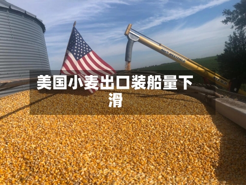 美国小麦出口装船量下滑-第3张图片