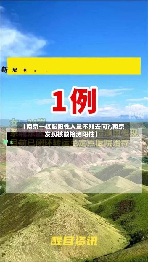【南京一核酸阳性人员不知去向?,南京发现核酸检测阳性】-第3张图片