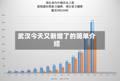 武汉今天又新增了的简单介绍