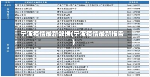 宁波疫情最新数据(宁波疫情最新报告)-第2张图片