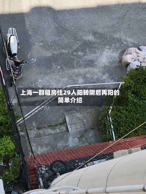 上海一群租房住29人阳转阴后再阳的简单介绍